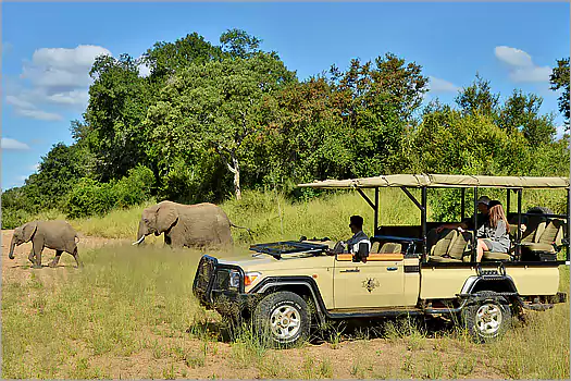 Imbali SAfari Lodge