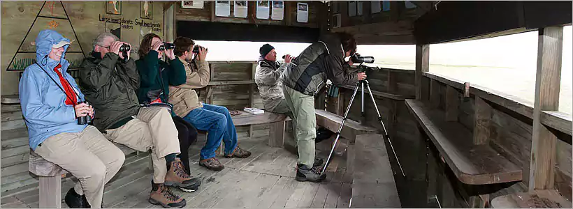 Birding in Kruger Park Birding in Kruger Park