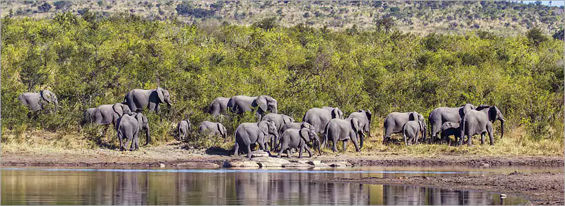 Kruger Park ecosystem Kruger Park ecosystem