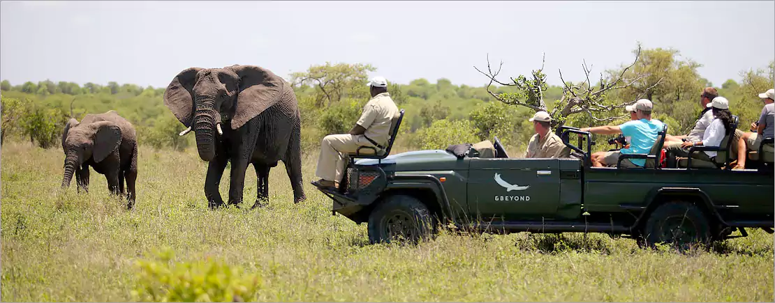 Kruger Park ecosystem Kruger Park ecosystem