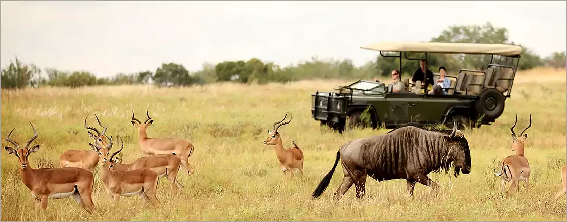 Kruger Park ecosystem Kruger Park ecosystem